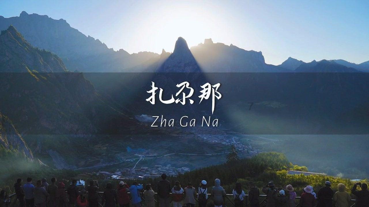 金币放置
