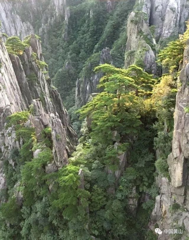 上古魔塔