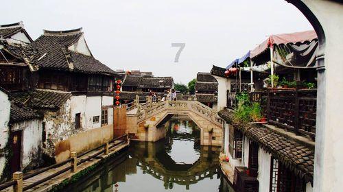 进完达山、到珍宝岛,用行走铭记岁月,此旅程提气到无法言表